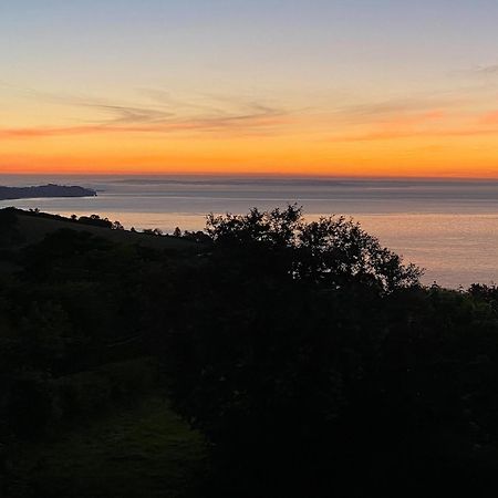 Cliff Lodge Torquay Buitenkant foto