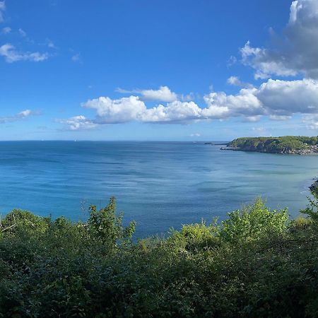 Cliff Lodge Torquay Buitenkant foto